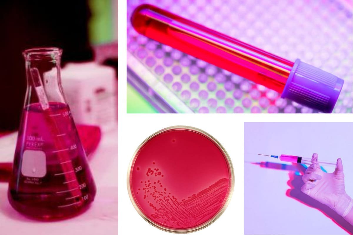 D & C Red 27 Lake, D & C Red 27 Lake Pharma Colors, Pharma Colors,