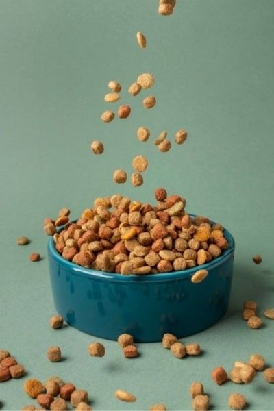 Pet Food & Animal Nutrition