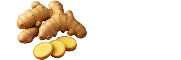 Ginger